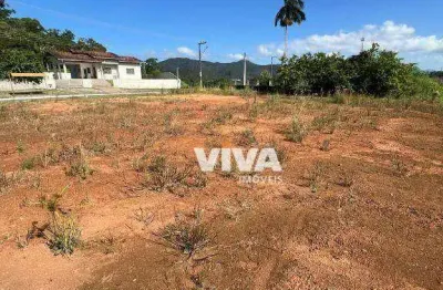 Terreno para alugar, 1200 m² por r$ 6.650,00/mês - itaipava - itajaí/sc