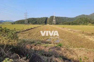 Terreno à venda, 7200 m² por r$ 2.880.000,00 - rio do meio - itajaí/sc