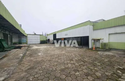Galpão para alugar, 300 m² por r$ 10.560,00/mês - são vicente - itajaí/sc