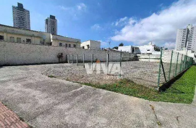 Terreno para alugar, 650 m² por r$ 5.200,00/mês - centro - itajaí/sc