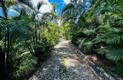 Condominio ipé amarelo - sitio de 5300m2 no condominio ipê amarelo