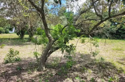 Terreno à venda no Parque Valinhos, Valinhos 
