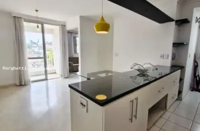 Apartamento para locação em são paulo, super quadra morumbi, 2 dormitórios, 1 banheiro, 1 vaga