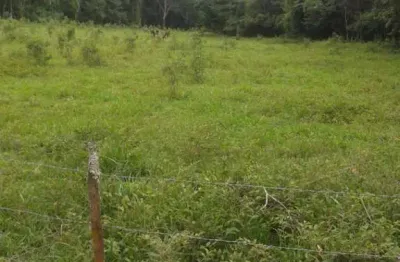 [vendo sítio em brazópolis] [7 hectares com córrego d'água]