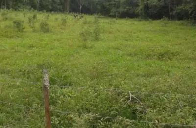 [vendo sítio em brazópolis] [7 hectares com córrego d'água]