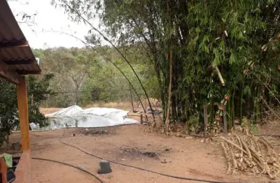 Chácara em palestina de goiás chácara à venda, 220 por r$ 900.000 ad6944