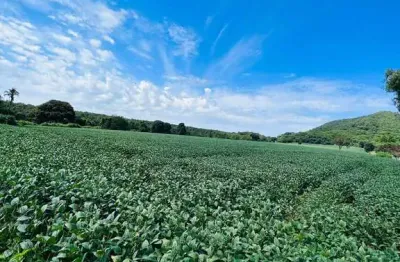 Fazenda jandaia fazenda à venda, 200 por r$ 2.350.000 ad10017