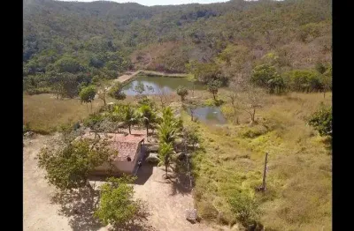 Fazenda de 40 alqueires em orizona - go fazenda à venda, 1936000 por r$ 5.000.000 vn14388