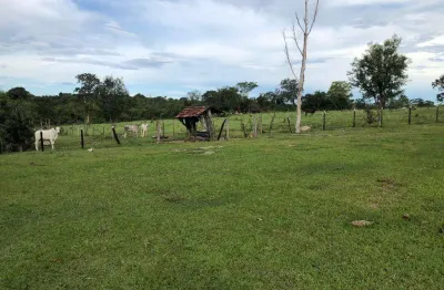 Fazenda município de crixás  fazenda à venda, 900000 por r$ 2.050.000 vn17407