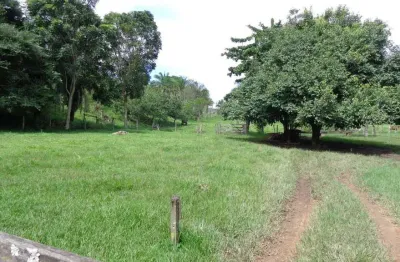 Fazenda a venda à apenas 18 km de jandáia fazenda à venda, 410966 por r$ 2.547.000 vn24835