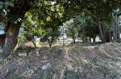 Lote em aparecida na vila maria  área / terreno à venda, 539 por r$ 270.000 no setor vila maria in25569