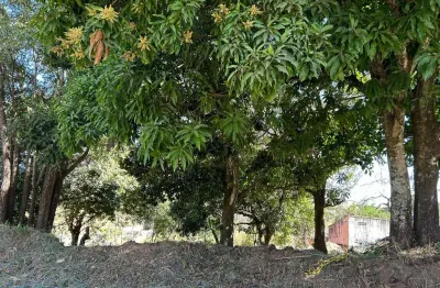 Lote em aparecida - vila maria  área / terreno à venda, 1214 por r$ 606.000 no setor vila maria in25571