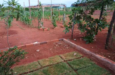 Chacara - caturai  chácara à venda, 2000 por r$ 195.000 vn25608