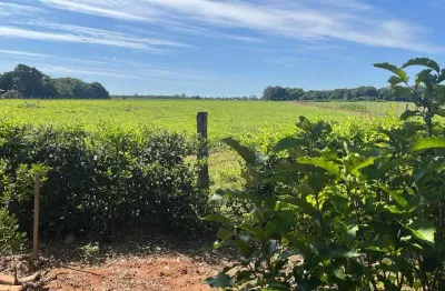 Sítio 1alqueire município de cezarina-go chácara à venda, 48400 por r$ 1.500.000 ad26749