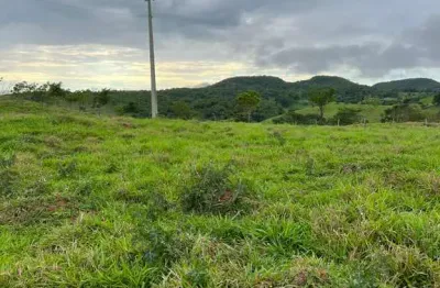 Chácara de 10.000m² - região de caldazinha/senador canedo área / terreno à venda, 10000 por r$ 220.000 no setor zona rural in24975