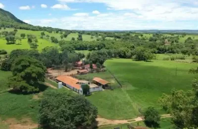Linda fazenda em palmeiras de goias fazenda à venda, 701800 por r$ 5.700.000 ad28014