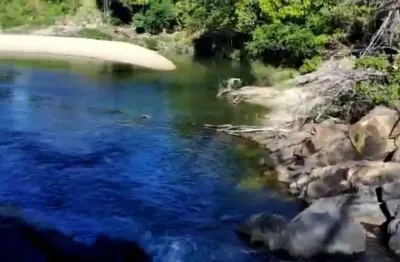 Fazenda engenho velho em niquelândia. fazenda à venda, 269 por r$ 13.000.000 vn28606