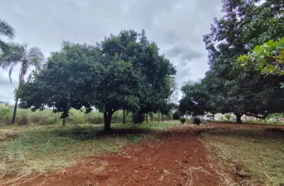Vendo chácara 10.000 m² próximo ao country clube chácara à venda, 10000 por r$ 1.800.000 vn28265