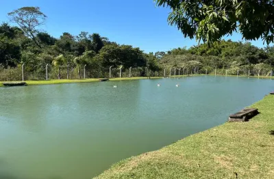 Chácara em goianira chácara à venda, 427.3 por r$ 3.200.000 av30922