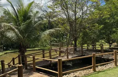 Linda chácara em trindade-go, com 2 casas mobiliadas. chácara à venda, 8000 por r$ 1.500.000 ta33814