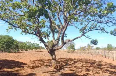 Chácara 6.000m² - sitio recreio savanah hidrolândia chácara à venda, 6000 por r$ 750.000 au34528
