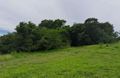 CHACARA VARJÃO DE GOIAS  Chácara à Venda, 121000.00 por R$ 1400000.00 TA34888