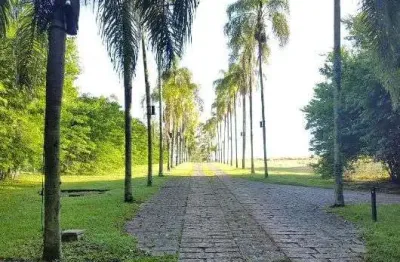 Terreno para venda  no bairro jardim martinelli (sousas) em campinas