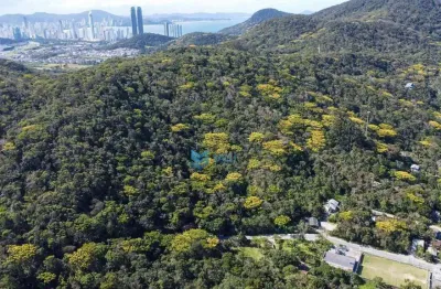 Área à venda, 31063 m² por r$ 2.000.000,00 - praia do estaleiro - balneário camboriú/sc