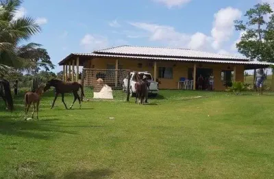 Sítio com 4 dormitórios à venda, 40000 m² por r$ 1.100.000,00 - barra do pojuca - camaçari/ba