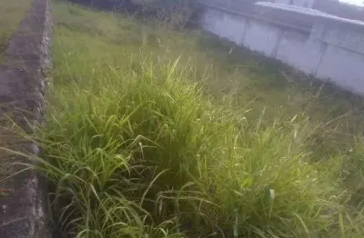 Terreno à venda, 818 m² por r$ 1.000.000,00 - pernambués - salvador/ba