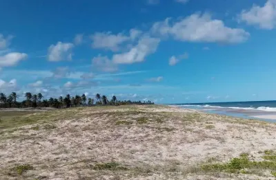 Terreno à venda, 100000 m² por r$ 750.000,00 - litoral norte - jandaíra/ba