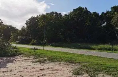 Terreno à venda, 600 m² por r$ 895.000,00 - acú da torre - mata de são joão/ba