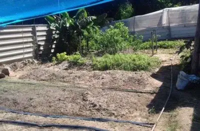 Sítio à venda, 5500 m² por r$ 320.000,00 - jardim castelao - lauro de freitas/ba