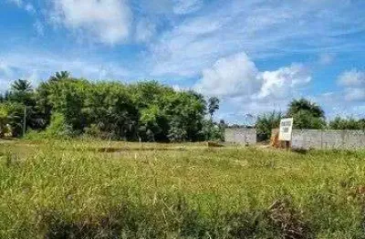 Terreno à venda, 2100 m² por r$ 2.500.000,00 - itacimirim (monte gordo) - camaçari/ba