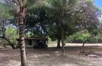 Sítio à venda, 85000 m² por r$ 350.000,00 - camaçari - camaçari/ba