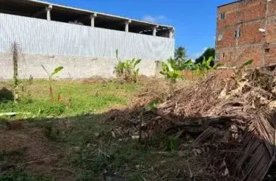 Terreno à venda, 15000 m² por r$ 350.000,00 - são cristóvão - salvador/ba