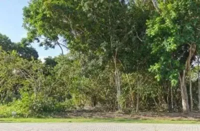 Terreno à venda, 600 m² por r$ 1.150.000,00 - praia do forte - mata de são joão/ba