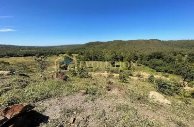 Chácara / sítio com 6 quartos à venda na Zona Rural, Centro, Silvânia