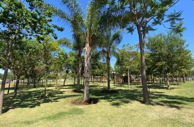 Terreno em condomínio fechado à venda na Rua Antonio Salvador Téo, Residencial Alto do Castelo, Ribeirão Preto