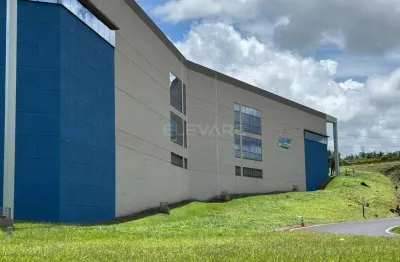 Galpão para aluguel no bairro City Ribeirão, Ribeirão Preto, SP