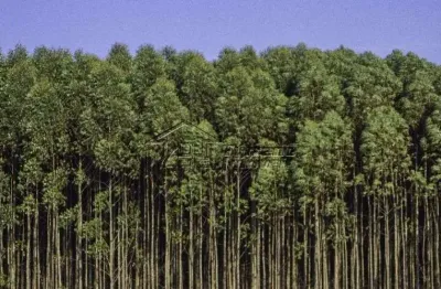 Terreno à venda na Avenida Papa João Paulo II, Urbanova VI, São José dos Campos