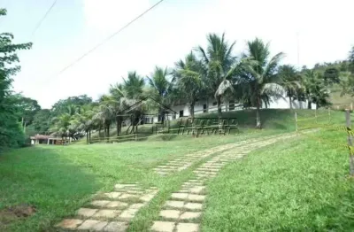 Fazenda à venda na Rua Paulino Chagas, Olaria, Lorena