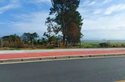 Excelente área com 39.000m² em quiririn - taubaté/sp