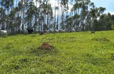 Chácara / sítio com 3 quartos à venda na Rua Barão de Jacareí, Cidade Nova Jacareí, Jacareí