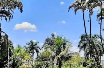 Sítio para venda em jaguariúna, pinhalzinho, 3 dormitórios, 3 banheiros, 4 vagas