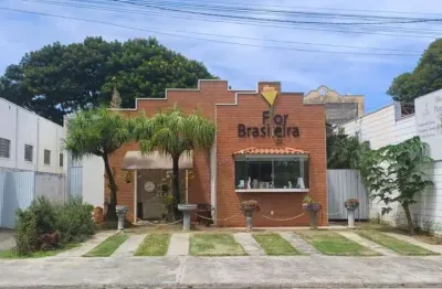 Galpão para venda em holambra, parque residencial girassóis de holanda, 3 banheiros