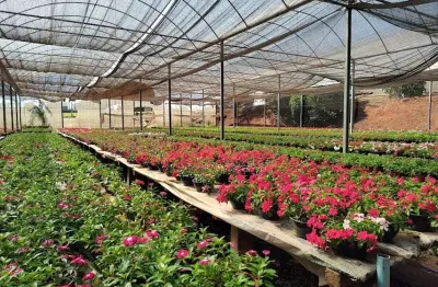 Sítio para venda em santo antônio de posse, pirapitanqui
