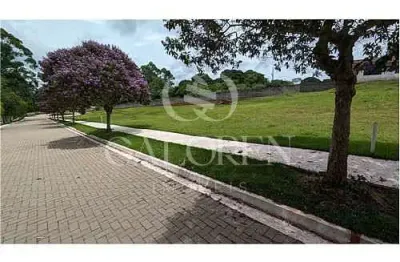 Terreno à venda na Br 376, Km 150, Presidente Castelo Branco, 50, Zona Rural, Mandaguaçu