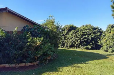 Chácara / sítio com 3 quartos à venda na Estrada Do Cipó, 207, Zona Rural, Mandaguaçu