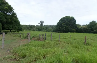Fazenda à venda na Zona Rural, Barão de Melgaço 